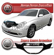 Дефлектор капота (серый) TOYOTA VEROSSA X110-115 (01-04)