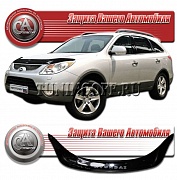 Очки на фары (прозрачные) HYUNDAI IX55